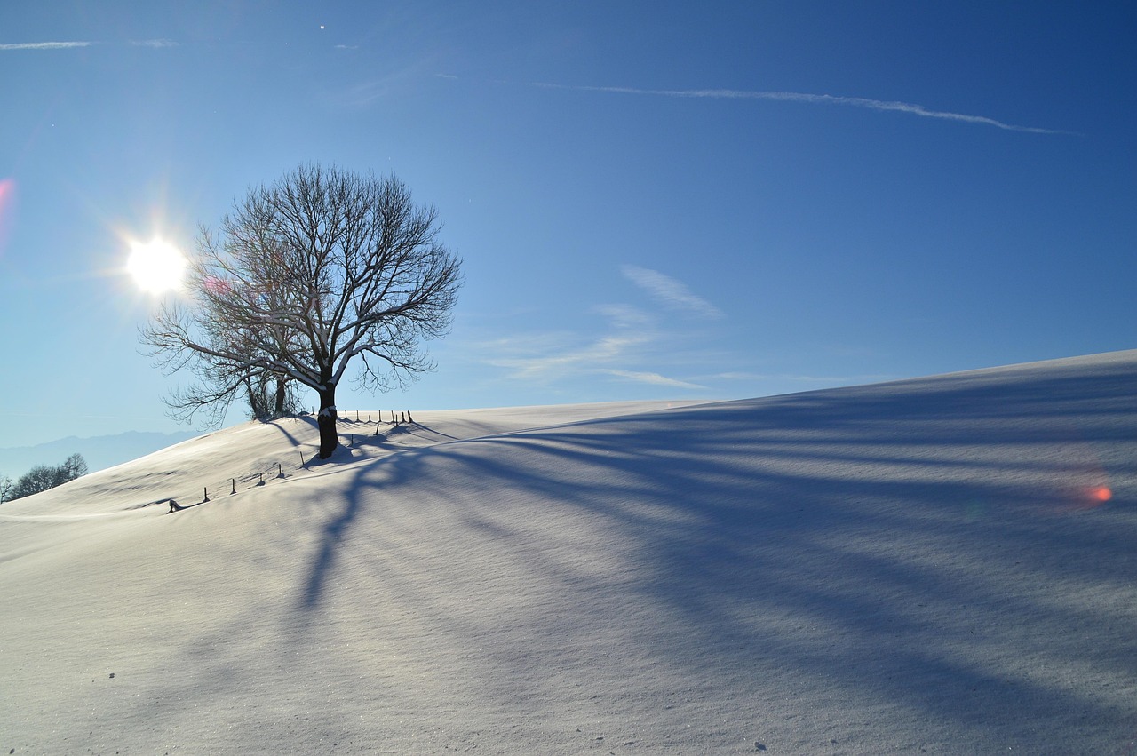 冬季雪景特別美的十大夢幻童話世界排行榜2025特別新排名前十名分析