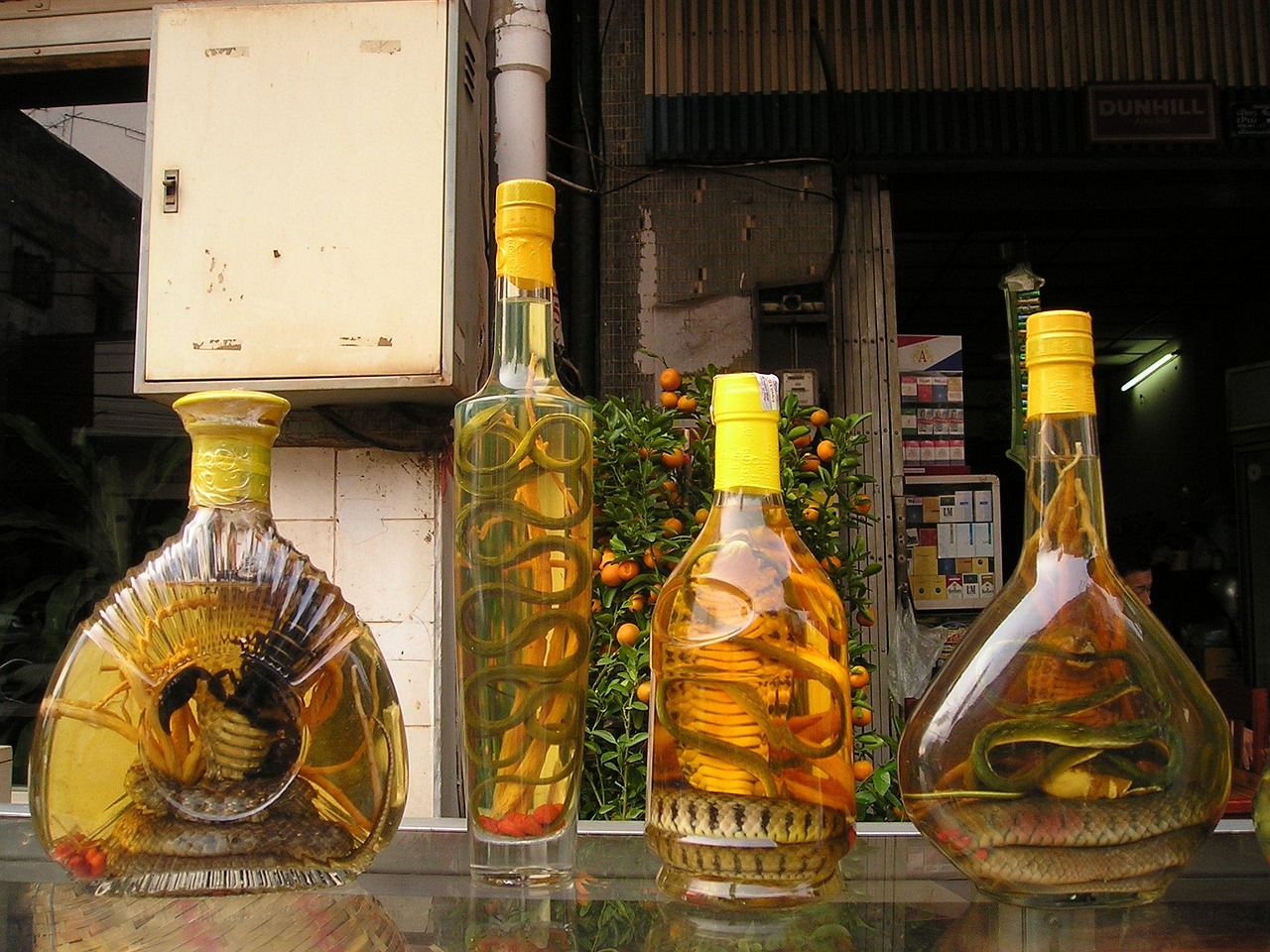 世界十大精釀啤酒品牌排行榜2025最新排名前十名榜單出爐