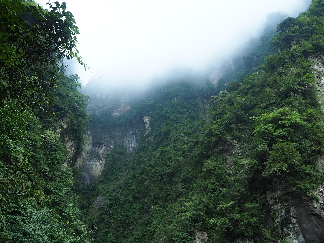 南京十大賞雪勝地排行榜：梅花山在榜，2025最新排名前十名榜單出爐
