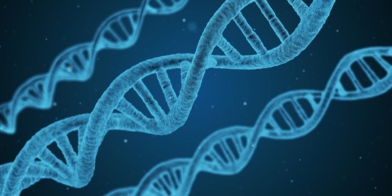 生物疫苗龍頭股排行榜2025特別新排名前十名分析